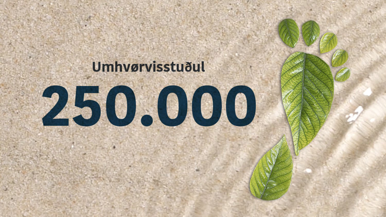 Umhvørvisstuðul Mynd Til Tíðindaskriv