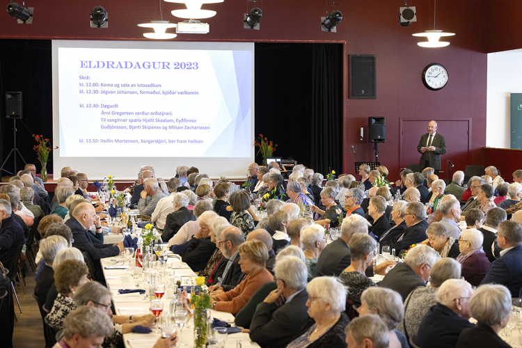 a person giving a presentation to an audience