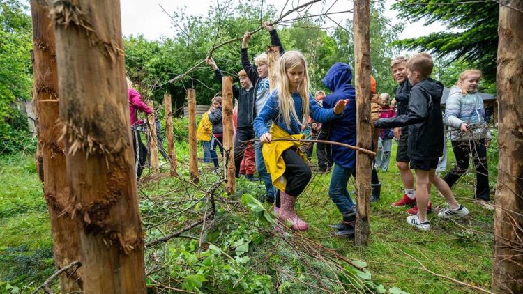 Mynd tiltak um greinahegn 29. mai 2024