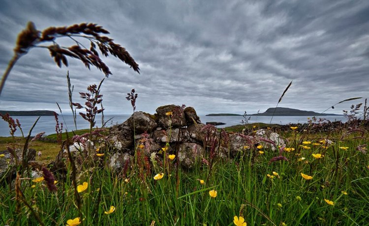 46De3770 F445 4E78 942A 0187Ea3a6d01